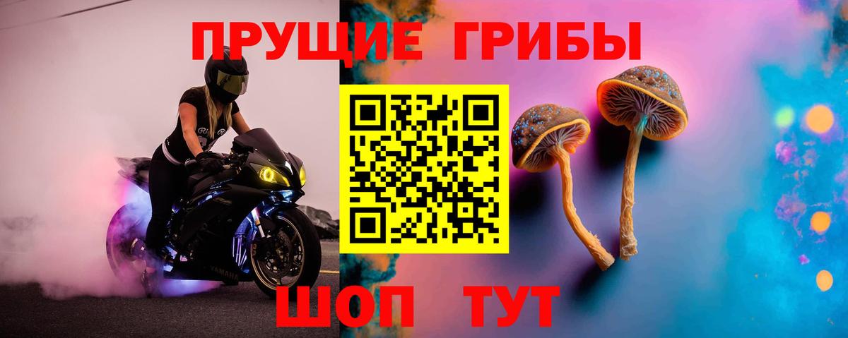 Псилоцибиновые грибы Psilocybine cubensis  Галлюциногенные грибы Cubensis  Тайшет  Вход с VPN 